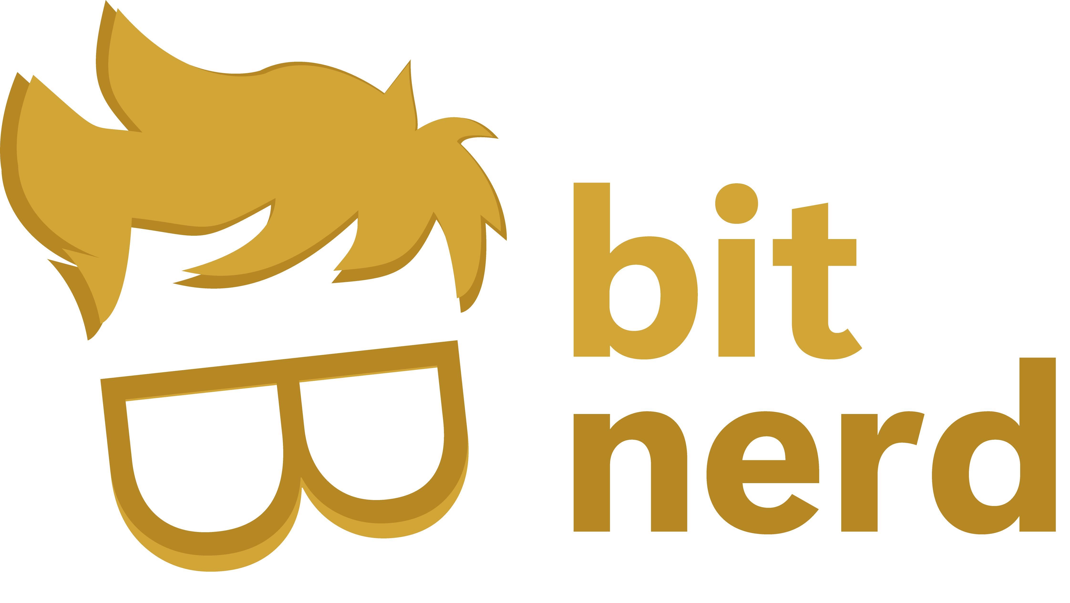 Bitnerd Technologies Logo